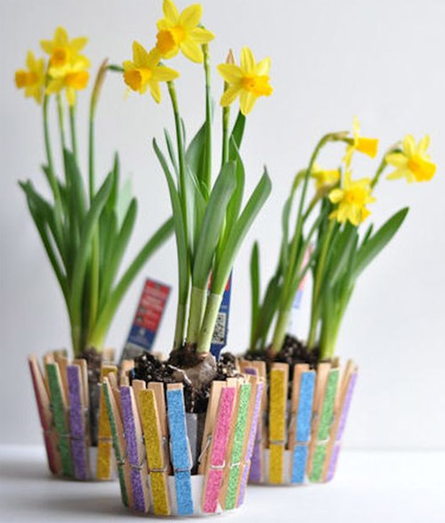 Idea for home flowerpot from clothespins